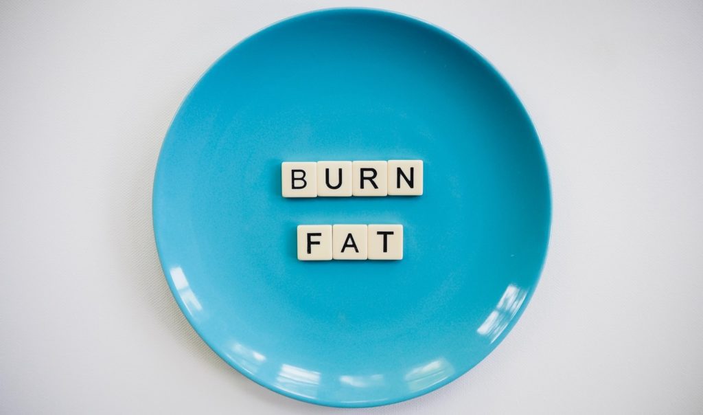 What Are Low-Carb Diet Programs? 1 Low-Carb Diet